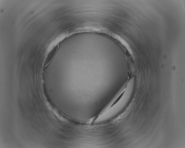 X0000088381373200706191257