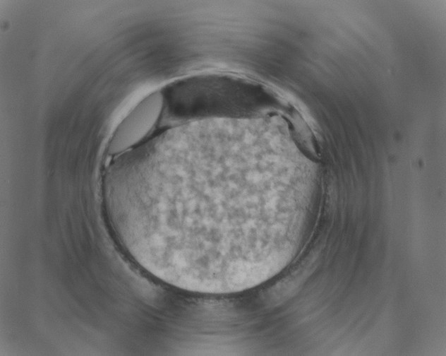 X0000088381375200706191257