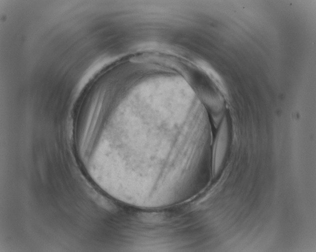 X0000088381376200706191257