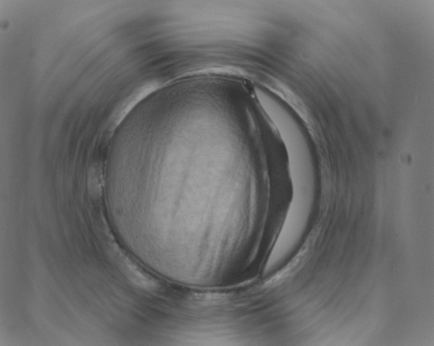 X0000088381377200706191257