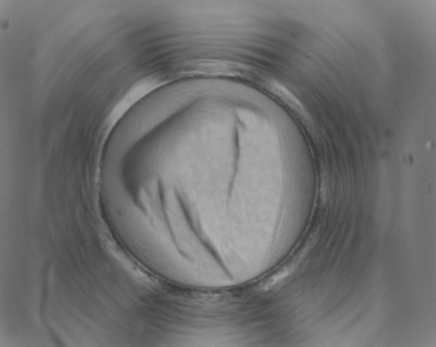 X0000088381378200706191257