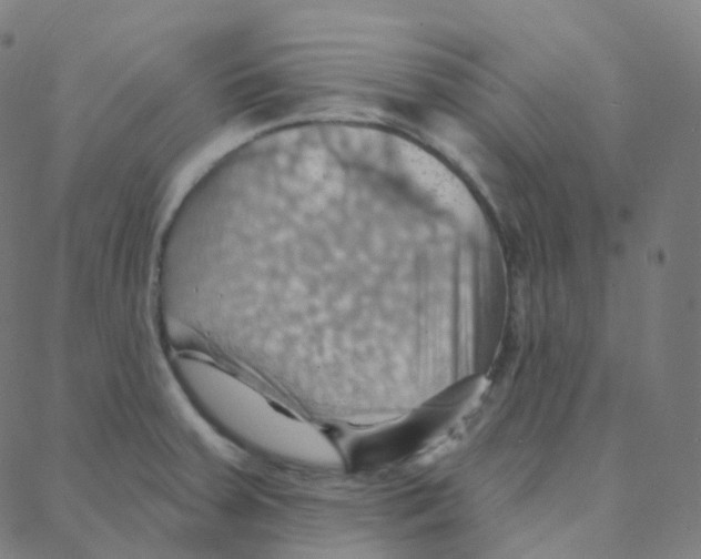 X0000088381379200706191257