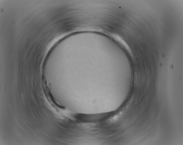 X0000088381380200706191257