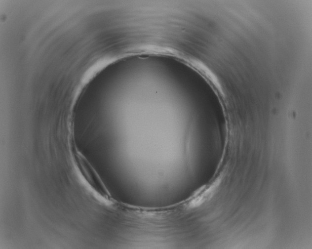 X0000088381381200706191257