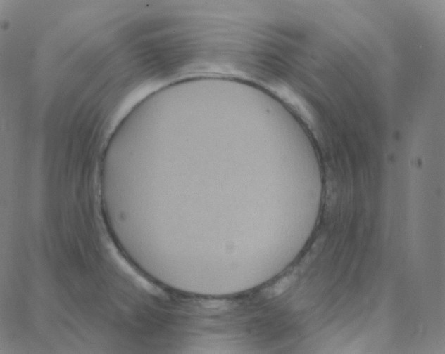 X0000088381382200706191257