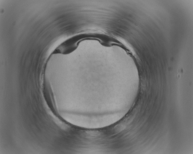 X0000088381383200706191257