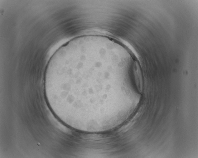 X0000088381387200706191257