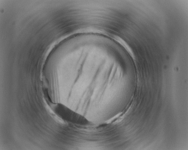 X0000088381388200706191257