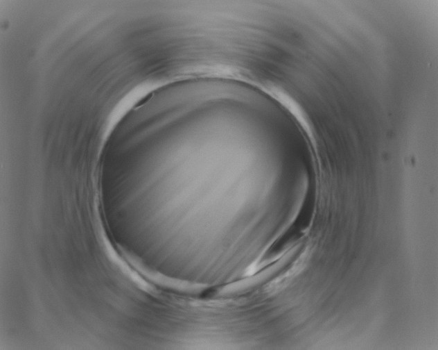 X0000088381389200706191257