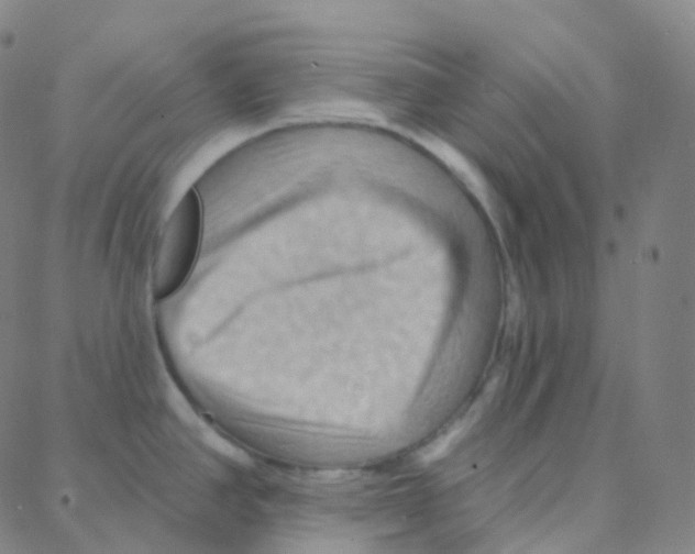 X0000088381390200706191257