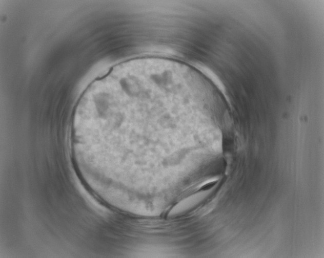 X0000088381391200706191257