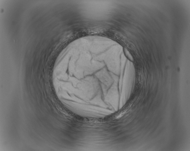 X0000088381393200706191256