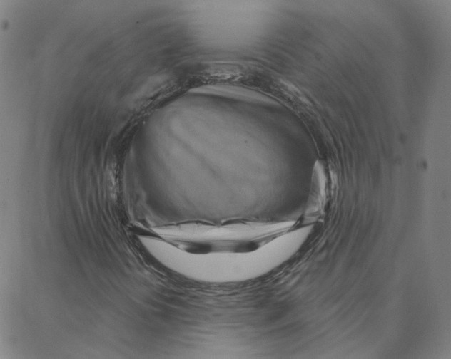 X0000088381394200706191256