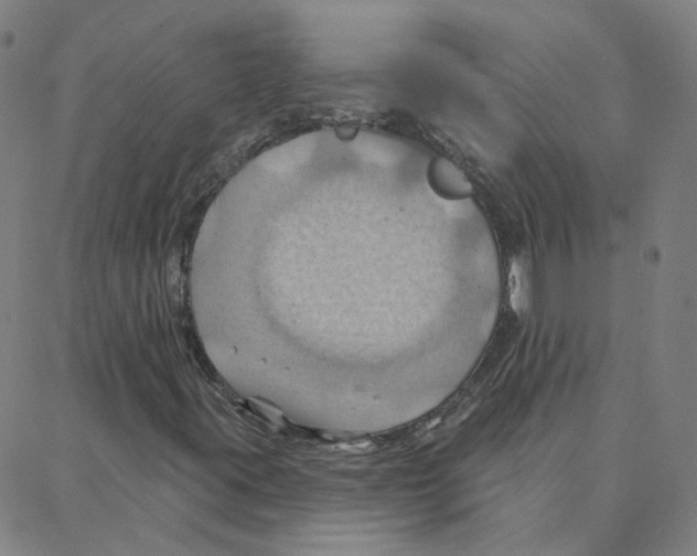 X0000088381395200706191256