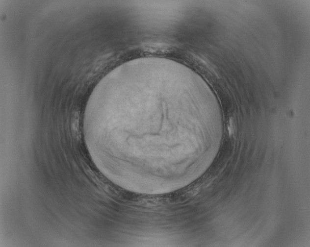 X0000088381396200706191256