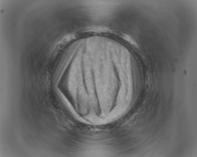 X0000088381398200706191256