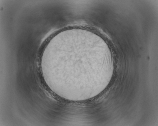 X0000088381400200706191256