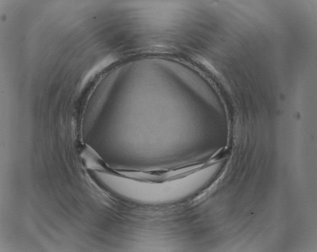 X0000088381402200706191256