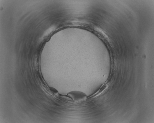 X0000088381403200706191256