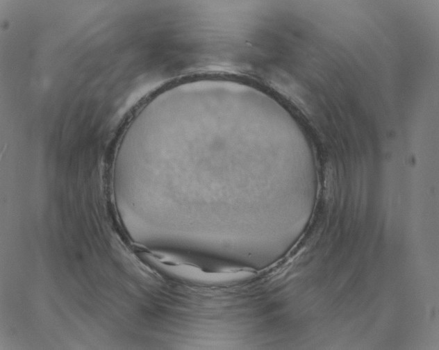 X0000088381404200706191256