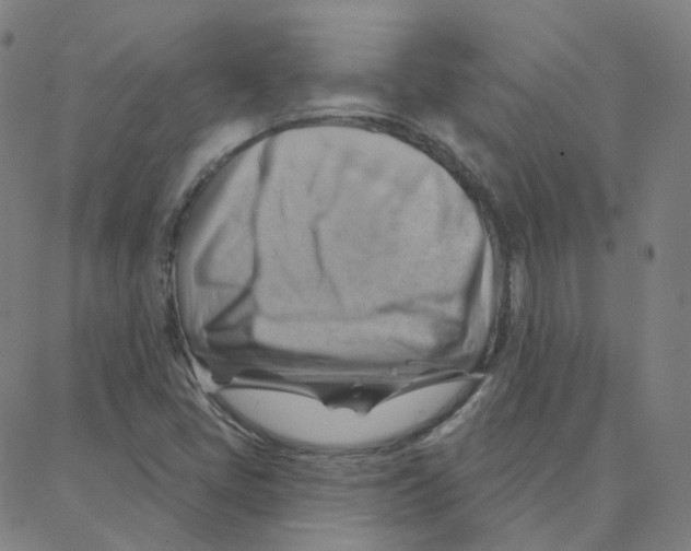 X0000088381405200706191256