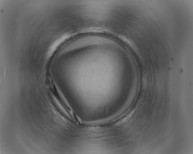 X0000088381406200706191256