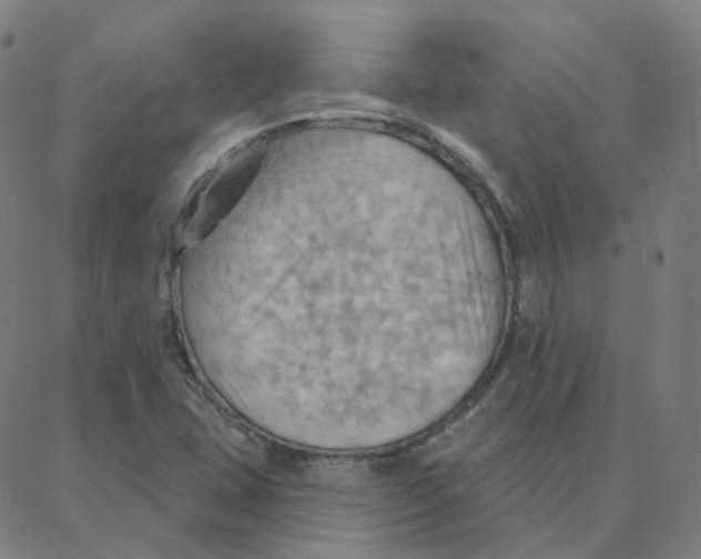 X0000088381407200706191256