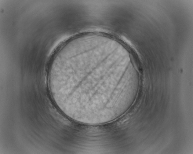 X0000088381408200706191256