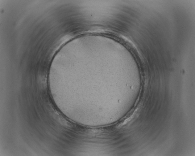 X0000088381409200706191256