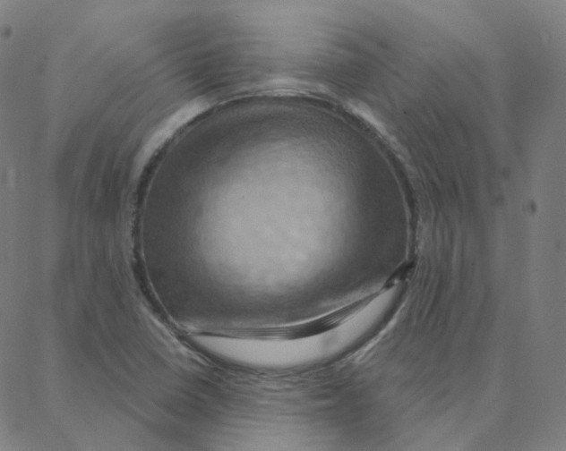 X0000088381410200706191256