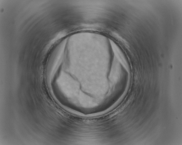 X0000088381411200706191256