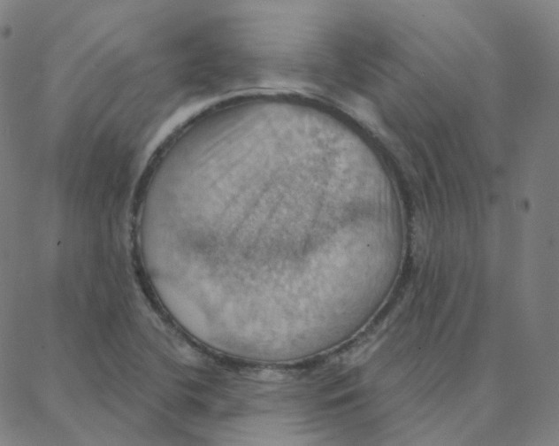 X0000088381412200706191256