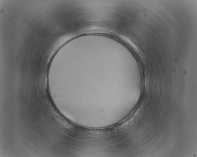 X0000088381413200706191256