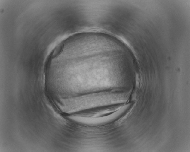 X0000088381414200706191256