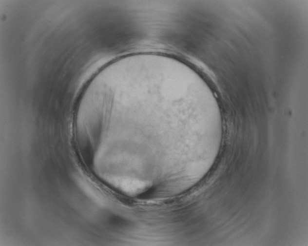 X0000088381415200706191256