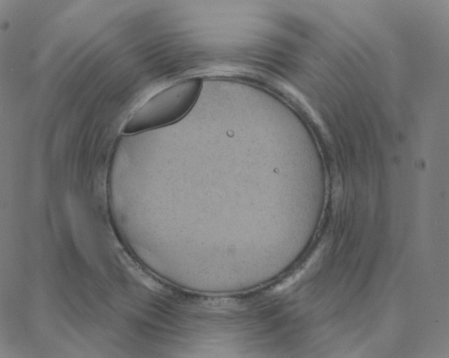 X0000088381417200706191256