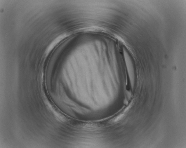 X0000088381418200706191256