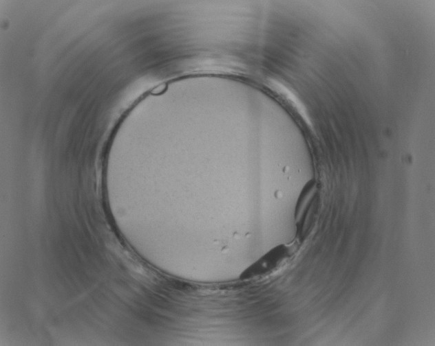 X0000088381419200706191256