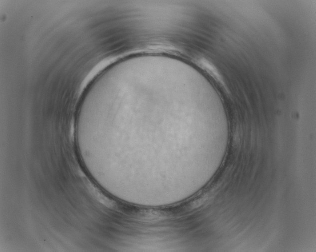 X0000088381420200706191257