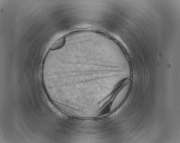 X0000088381421200706191257