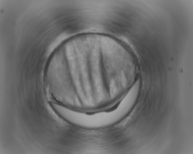 X0000088381422200706191257