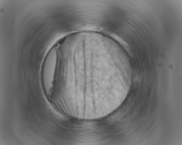 X0000088381423200706191257