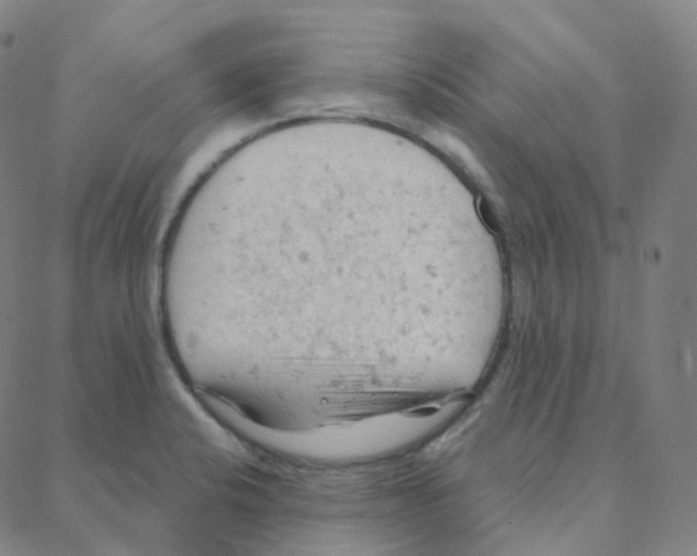 X0000088381424200706191257