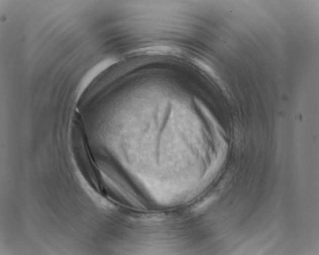 X0000088381426200706191257