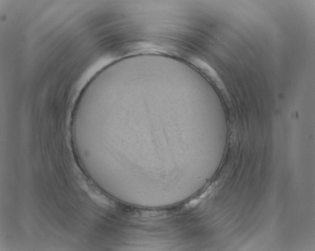 X0000088381427200706191257