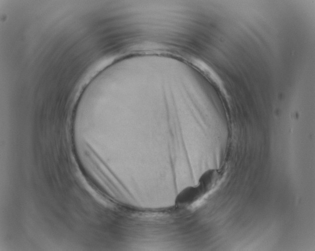 X0000088381429200706191257