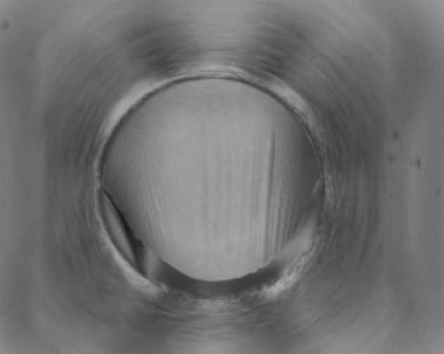 X0000088381430200706191257