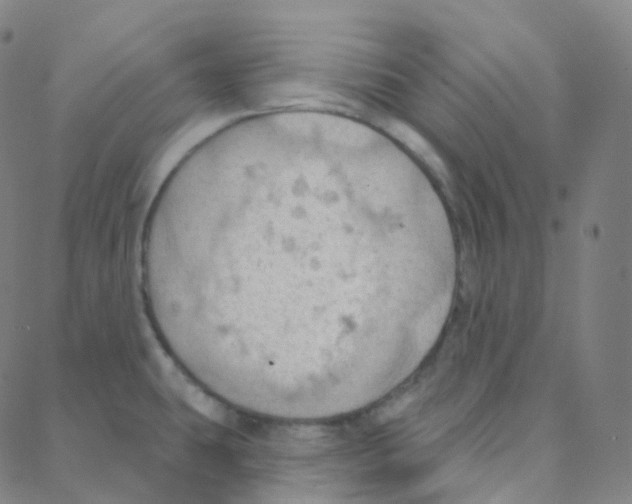 X0000088381431200706191257