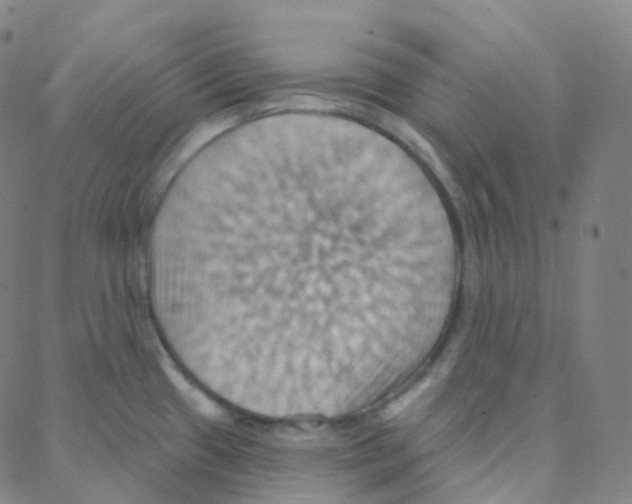 X0000088381433200706191257