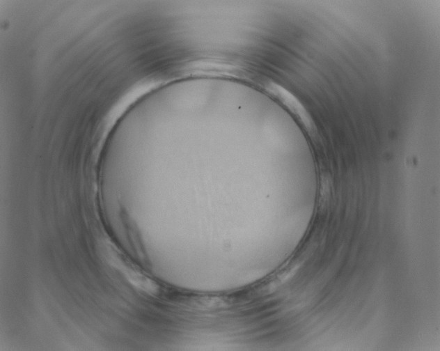 X0000088381435200706191257